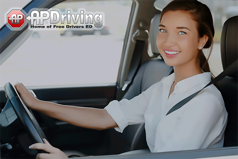 Student Driver Girl Holding Steering Wheel